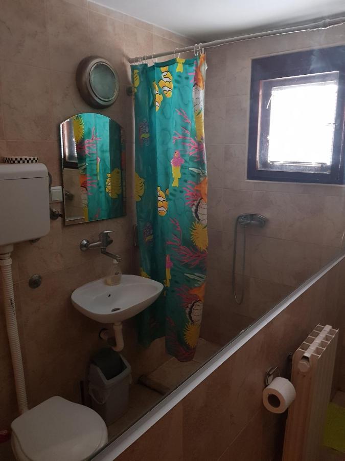 Pansion Lug Hotel Belgrád Kültér fotó